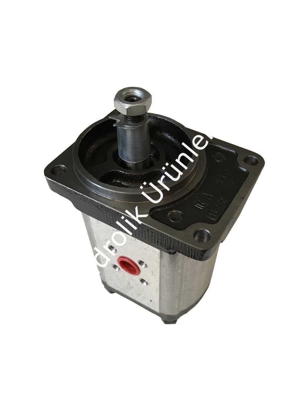 1PN 281 (ASS3) 28,1 cc Dişli Pompa