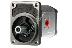 1PN 229 (AST3) 22,9 cc Dişli Pompa