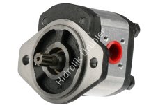 1PN 040 (CGS3) 4 cc Dişli Pompa