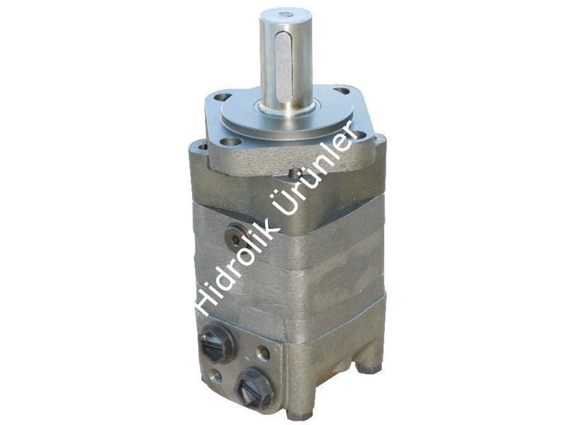 EPMS 80 (MS 080) Hidromotor