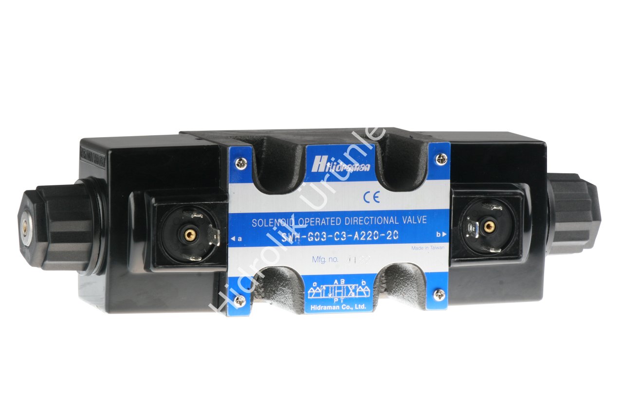 NG10 H Merkez 220V AC Valf (SWH-G03-C3)