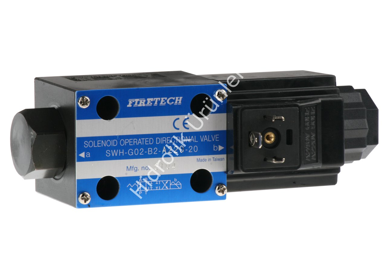 NG06 Tek Bobin 220V AC Valf (SWH-G02-B2)