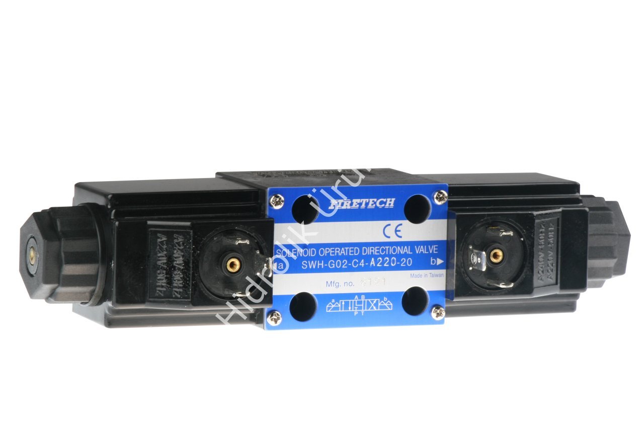 NG06 AB-T 220V AC Valf (SWH-G02-C4)